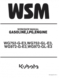 repair manual Kubota WG752-G/GL-E3, WG972-G/GL-E3 Gasoline, LPG Engines Workshop Manual PDF 9Y111-05711