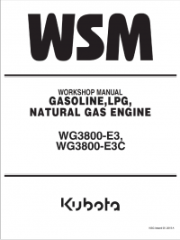 repair manual Kubota WG3800-E3, WG3800-E3C Gasoline, LPG, Natural Gas Engines Workshop Manual PDF 9Y111-13092