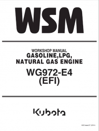 repair manual Kubota WG972-E4 (EFI) Gasoline, LPG, Natural Gas Engine Workshop Manual PDF 9Y111-11080