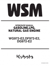 repair manual Kubota WG972-E2, DF972-E2, DG972-E2 Engines Workshop Manual PDF 9Y111-03180