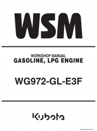repair manual Kubota WG972-GL-E3F Gasoline, LPG Engine Workshop Manual PDF 9Y111-10170