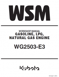 repair manual Kubota WG2503-E3 Gasoline, LPG, Natural Gas Engines Workshop Manual PDF 9Y111-09143