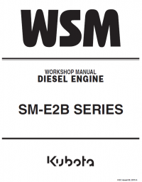 repair manual Kubota SM-E2B Series Diesel Engines Workshop Manual PDF 9Y011-03176