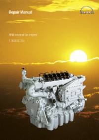repair manual Man Industrial Gas Engines E 0836 LE 202 Repair Manual PDF
