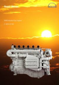 repair manual Man Industrial Gas Engines E 2876 LE 302 Repair Manual PDF