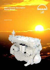 repair manual Man Industrial Gas Engines E 2876 TE 302 Repair Manual PDF