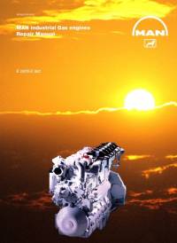 repair manual Man Industrial Gas Engines E 2876 E 302 Repair Manual PDF