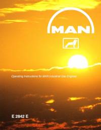 repair manual Man Industrial Gas Engines E 2842 E Operating Instructions PDF