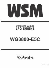 repair manual Kubota LPG Engine WG3800-E5C Workshop Manual PDF