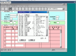spare parts catalog All Japan cars and trucks spare parts catalogues in one virtual system 2009 - 6