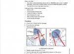 repair manual Liebherr L506-L510, L507S, L509S, L514 Stereo / Tier IIIA Wheel Loader Service Manual PDF - 6