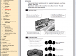 repair manual Lexus RX350 / RX330 / RX300 PDF Manual - 4