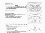 repair manual Kawasaki Ninja ZX-7RR, ZX-7R Motorcycle Service Manual PDF - 5