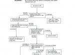 repair manual Nobles NOMAD PDF Service Manual - 5