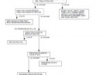 repair manual Nobles (Tennant) Rascal PDF Service Manual - 4