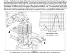 repair manual Case Engines Cursor Tier3 F2CE9684, F3AE9684 Service Manual PDF - 3