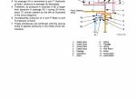 repair manual Hitachi Wheeled Excavator Zaxis 170W-3, 190W-3 Operational Principle Technical Manual PDF - 5