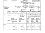 repair manual Komatsu D85EX-15, D85PX-15 Bulldozer Set of Operation and Maintenance Manuals PDF - 3
