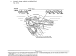 repair manual Komatsu Hydraulic Excavator PC750/SE/LC-6, PC800/SE-6 Field Assembly Instruction PDF - 2