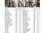 repair manual Tigercat Harvester H845C, LH845C Service Manual PDF - 3