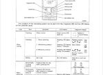 repair manual Komatsu WA320-3 Wheel Loaders Operation and Maintenance Manual PDF - 4