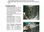 repair manual Hyundai Crawler Excavator HX220NL Service Manual PDF - 5