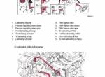 repair manual Hyundai Wheel Excavator HL955 Service Manual PDF - 3