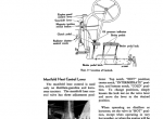 repair manual Case A & AV Tractors Operators Manual PDF - 2