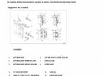 repair manual Cat Lift Trucks 2P, GP Series Service Manual PDF - 5