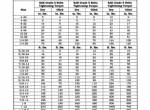 repair manual Cat Lift Trucks NPP60, NPV60, NPV80, NPC60, NPC80, NDC100 Service Manual PDF - 6