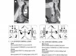 repair manual Tigercat Feller Buncher 845B Operator’s Manual PDF - 2