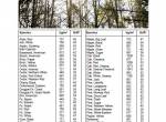 repair manual Tigercat Feller Buncher X822C, LX822C, X830C, LX830C Operator’s Manual PDF - 6
