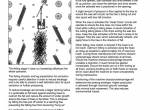 repair manual Tigercat Harvesting Head TH570 Service Manual PDF - 3