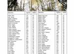 repair manual Tigercat Skidder 630C Service Manual PDF - 3