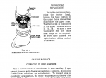 repair manual Case 320 Wheel Loader Operators Manual PDF - 1